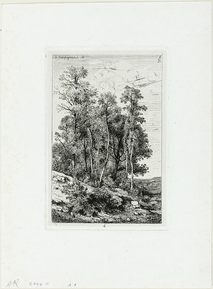 Birches and Oaks by Henri Joseph Harpignies