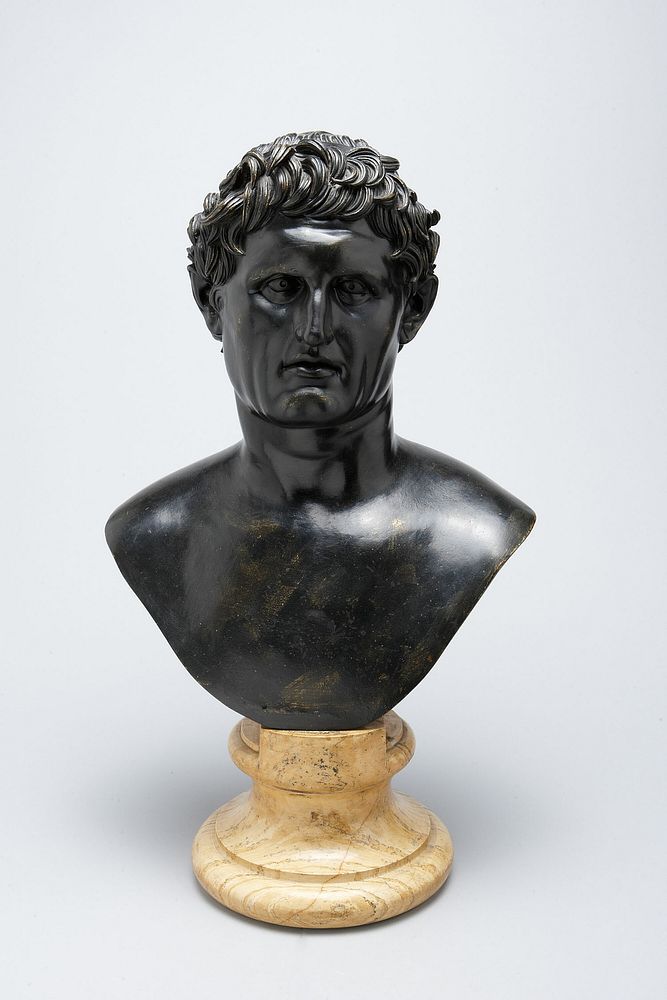 Bust of Seleucus Nicator of Syria by Sabatino de Angelis (Cast by)