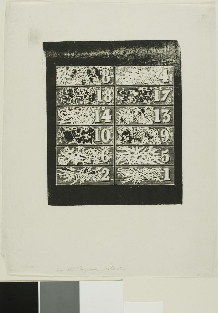 Study for Share Certificates in a Fraudulent Franco-Californian Company, No. 1 by Charles Meryon