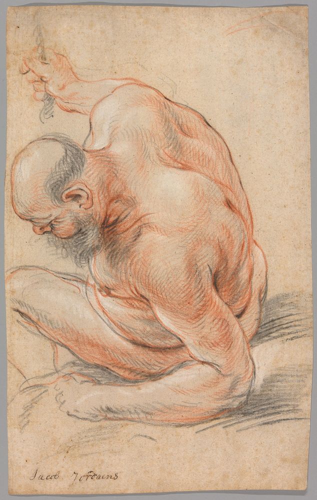 Nude Old Man Seated, Leaning on His Forearm, Facing Left by Jacob Jordaens