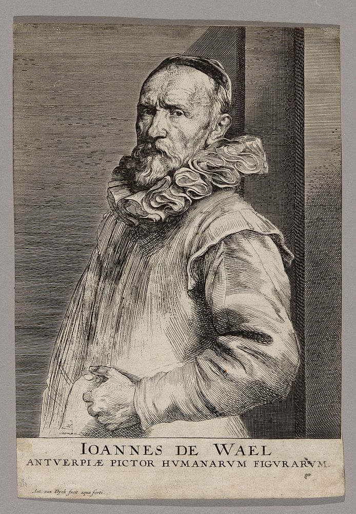 Jan de Wael by Anthony van Dyck