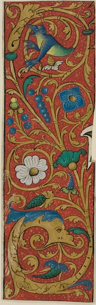 Illuminated Border with Grotesques and Flora from a Manuscript