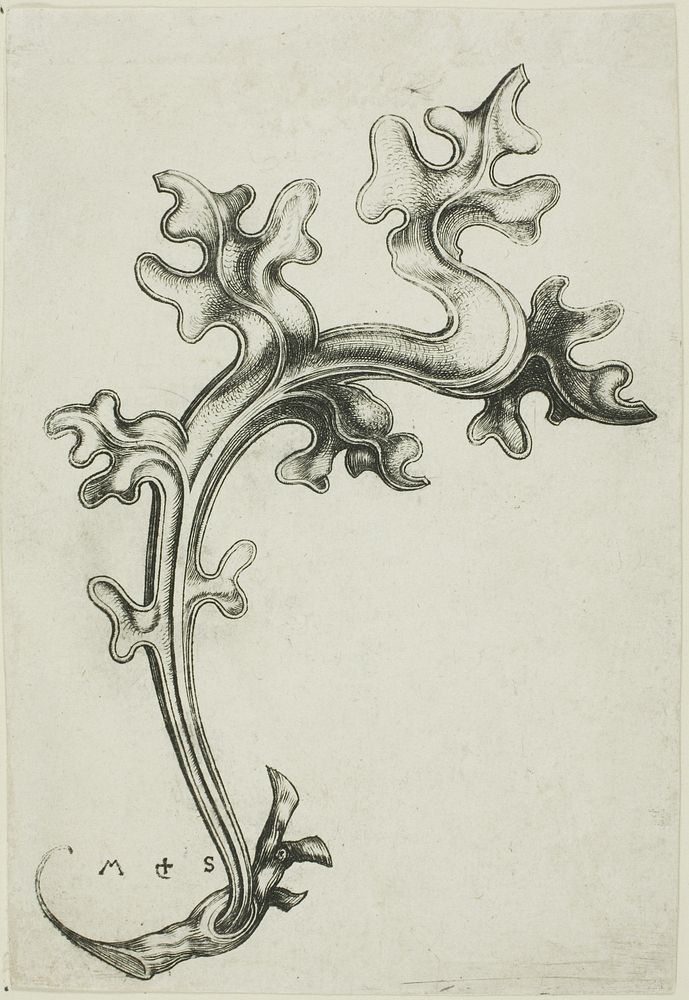 Leaf Ornament by Martin Schongauer