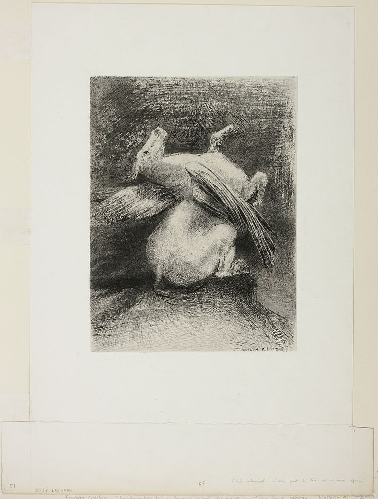 The Impotent Wing Did Not Lift the Animal Into That Black Space, plate 7 of 8 from "Les Origines" by Odilon Redon