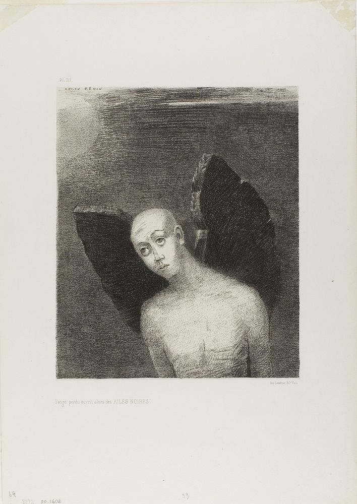 The Lost Angel Then Opened Black Wings, from Night by Odilon Redon