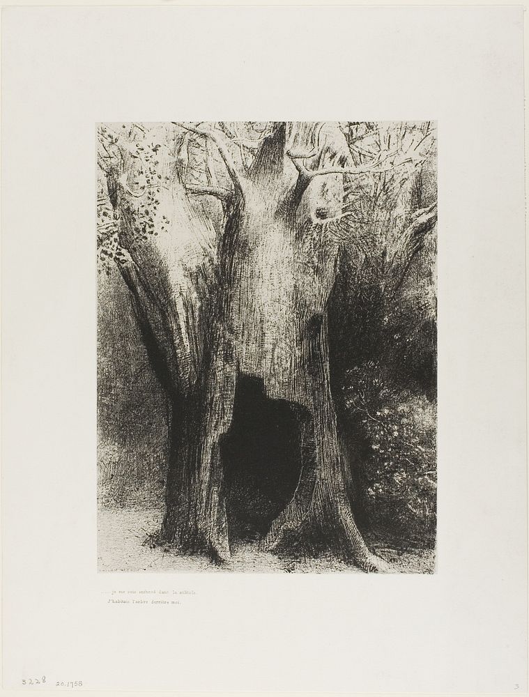 I Plunged into Solitude. I Dwelt in the Tree behind Me, plate 9 of 24 by Odilon Redon