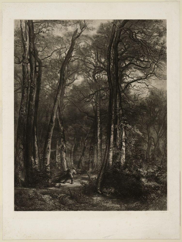 In the Forest by Karl Bodmer