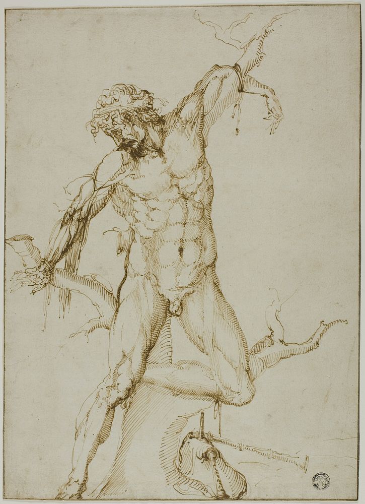 Marsyas Tied to a Tree by Follower of Baccio Bandinelli