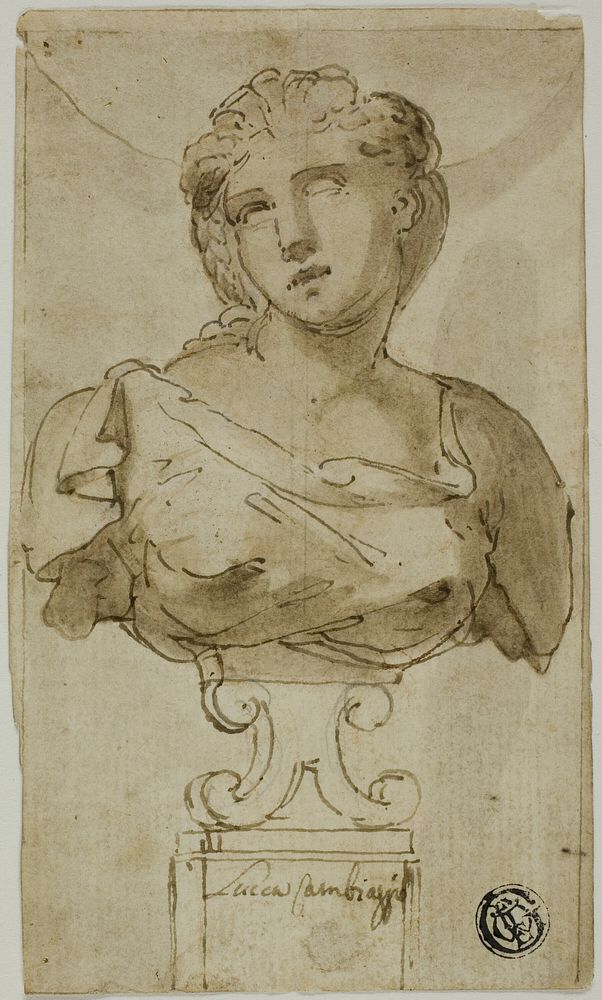 Bust of a Woman by Luca Cambiaso