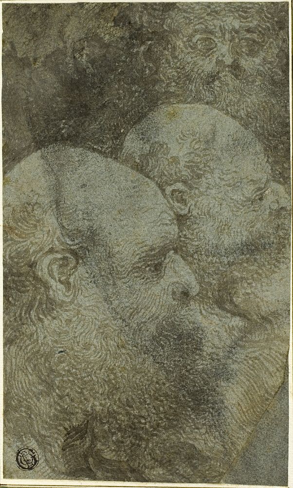 Three Bearded Male Heads, Two in Profile to the Right by Circle of Bernardino Lanino