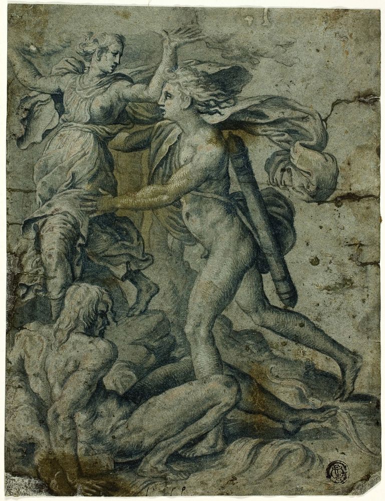 Apollo and Daphne by Perino del Vaga