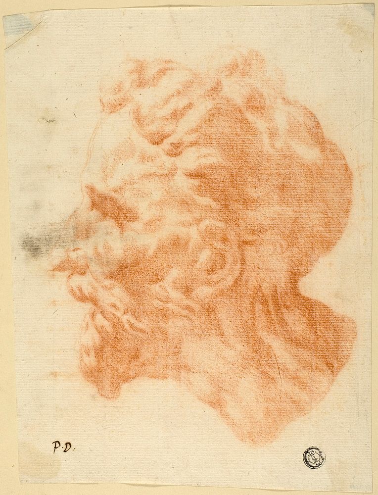 Head of Bearded Man in Profile to Left by Pietro Dandini