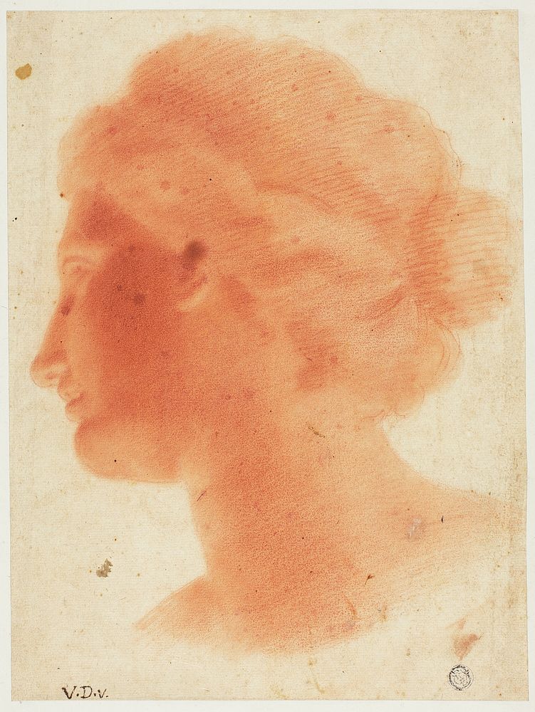 Head of Venus de Medici by Vincenzo Dandini