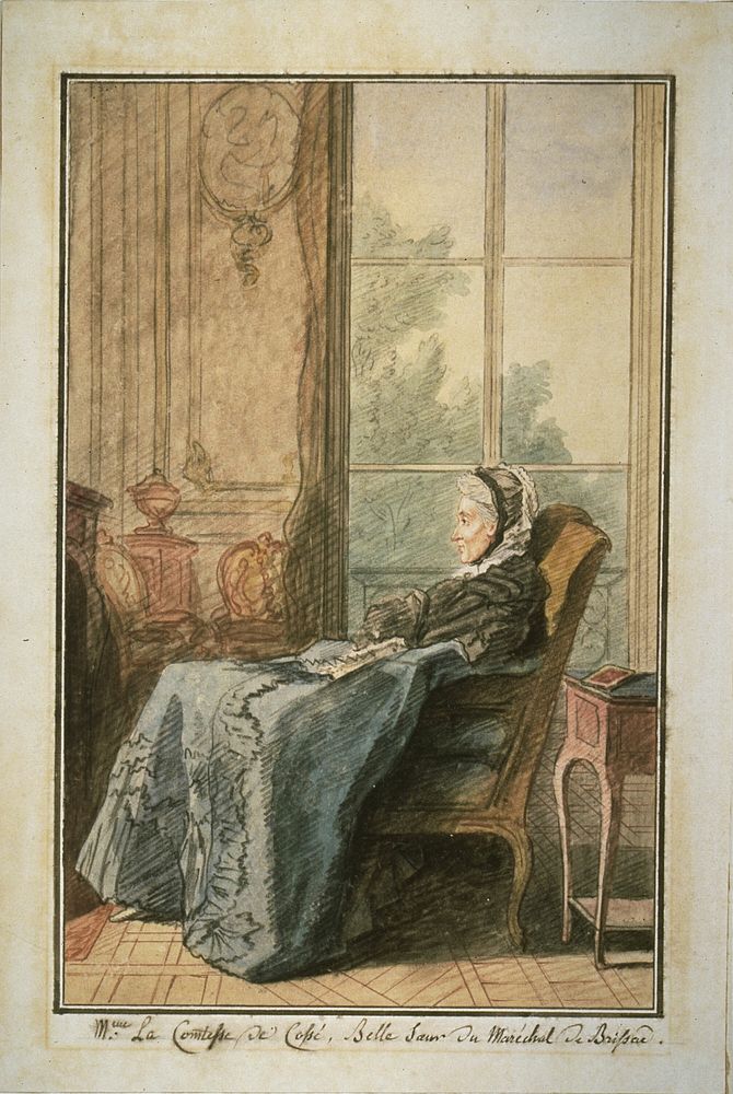 The Comtesse de Cossé in a Salon by Louis Carrogis de Carmontelle
