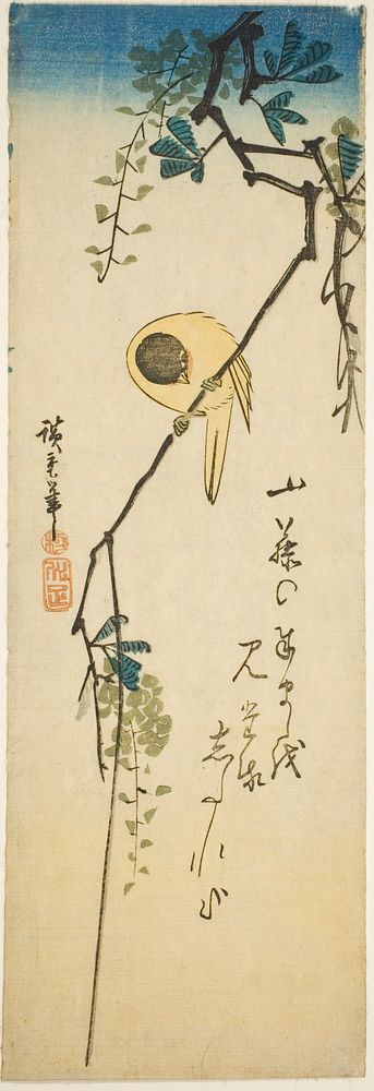 Bird on silky wisteria by Utagawa Hiroshige