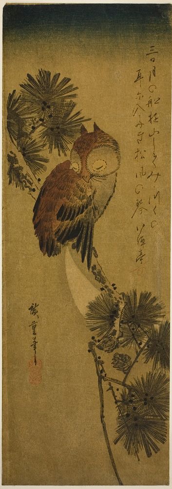 Small-horned owl, pine, and crescent moon by Utagawa Hiroshige