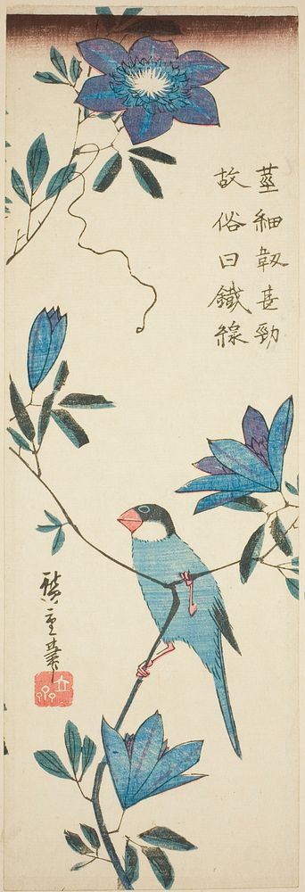 Java sparrow and clematis by Utagawa Hiroshige