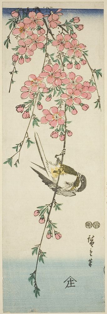 Great tit and cherry blossoms by Utagawa Hiroshige