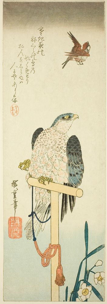 Falcon, sparrow, and narcissus by Utagawa Hiroshige