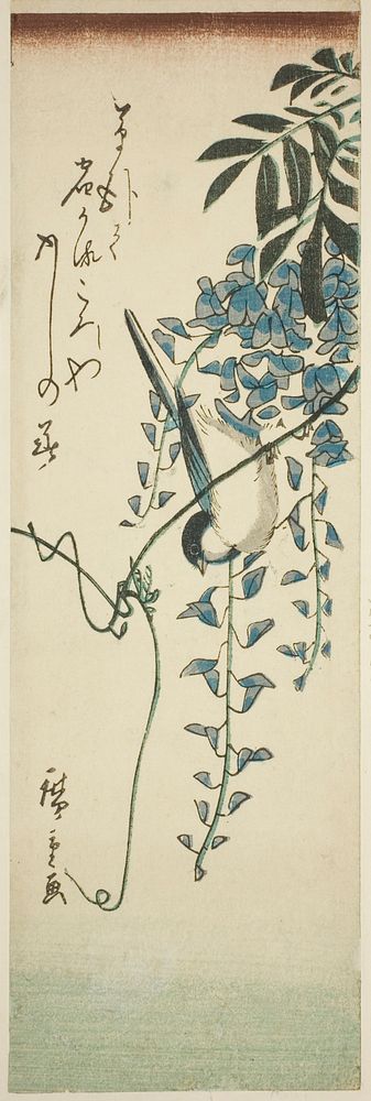 Bird and wisteria by Utagawa Hiroshige