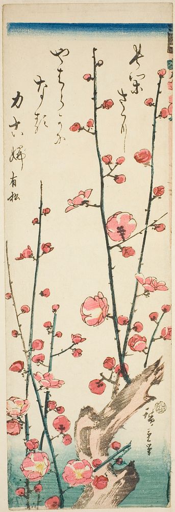 Blossoming plum branches by Utagawa Hiroshige