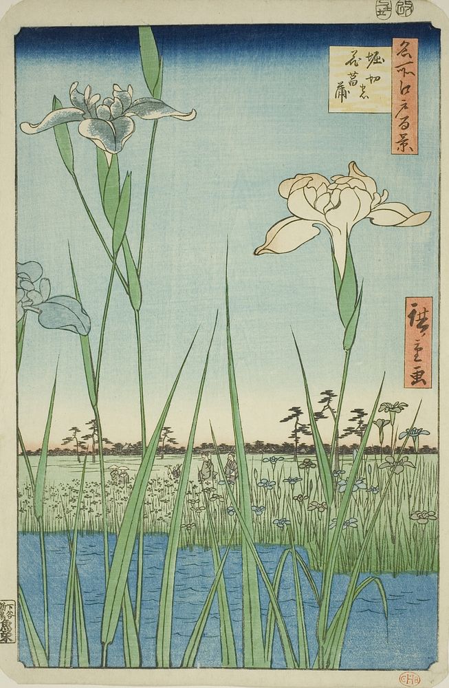 Irises at Horikiri (Horikiri no hanashobu), from the series "One Hundred Famous Views of Edo (Meisho Edo hyakkei)" by…
