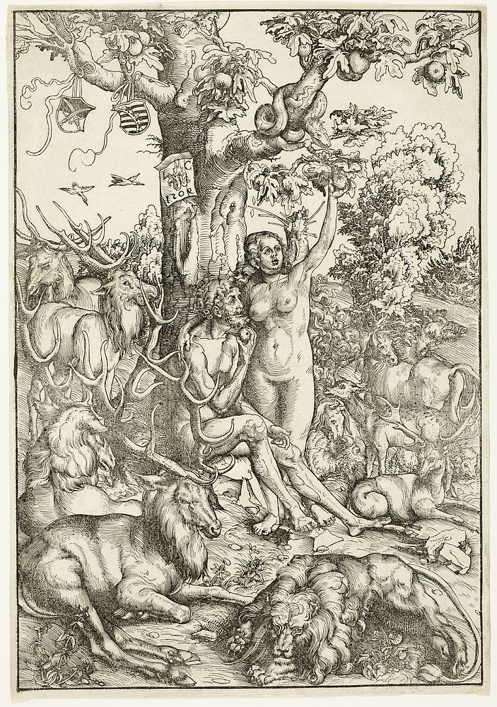 The Fall of Man by Lucas Cranach, the Elder