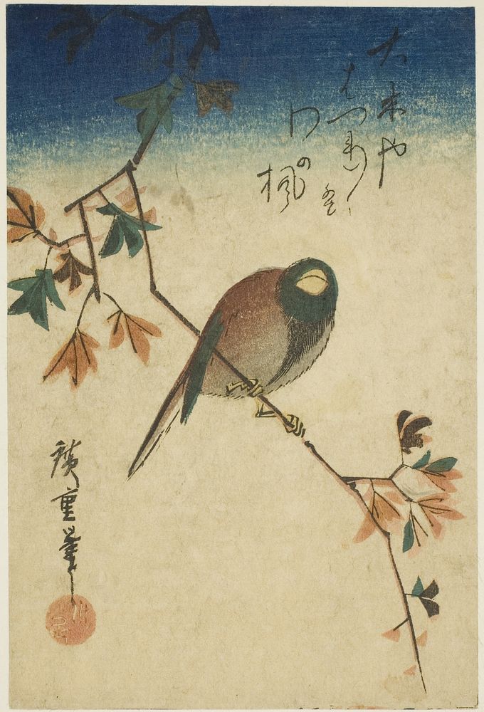 Bird on maple branch by Utagawa Hiroshige