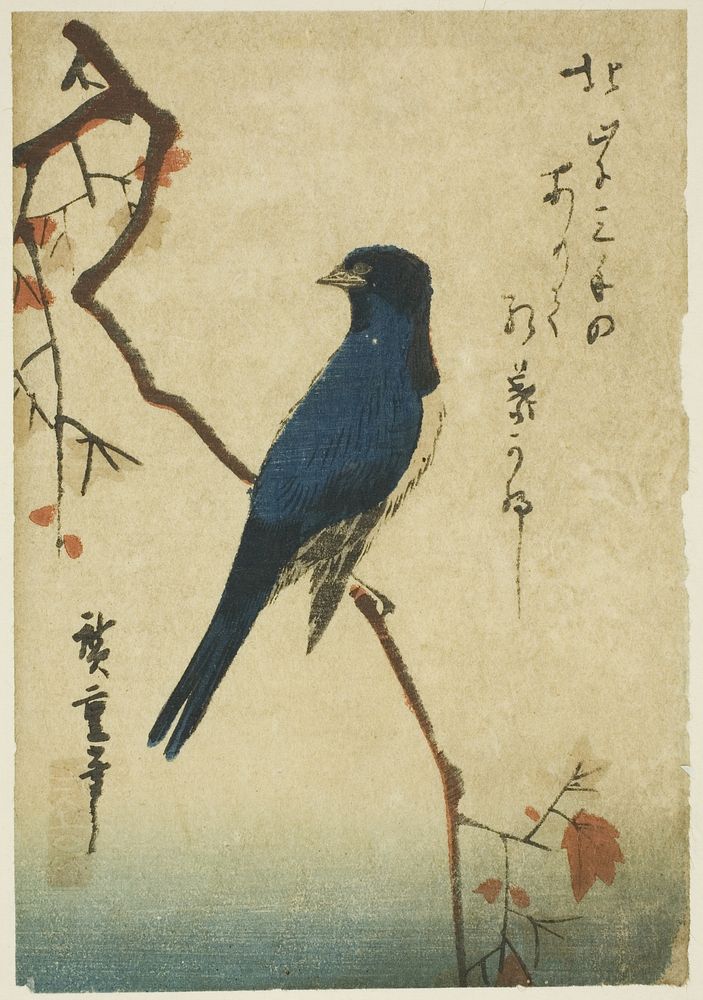 Blue bird on maple branch by Utagawa Hiroshige