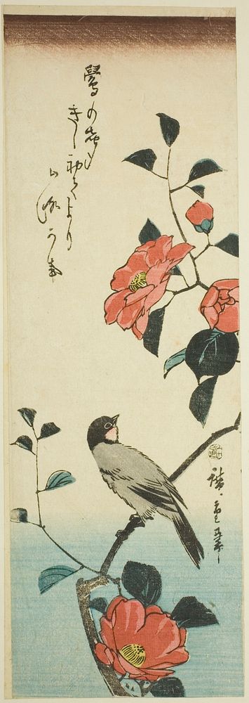 Camellia flowers and bullfinch by Utagawa Hiroshige