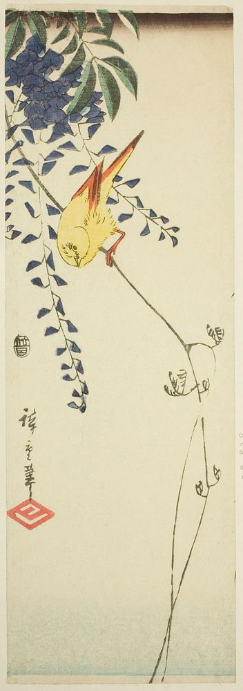 Canary and wisteria by Utagawa Hiroshige
