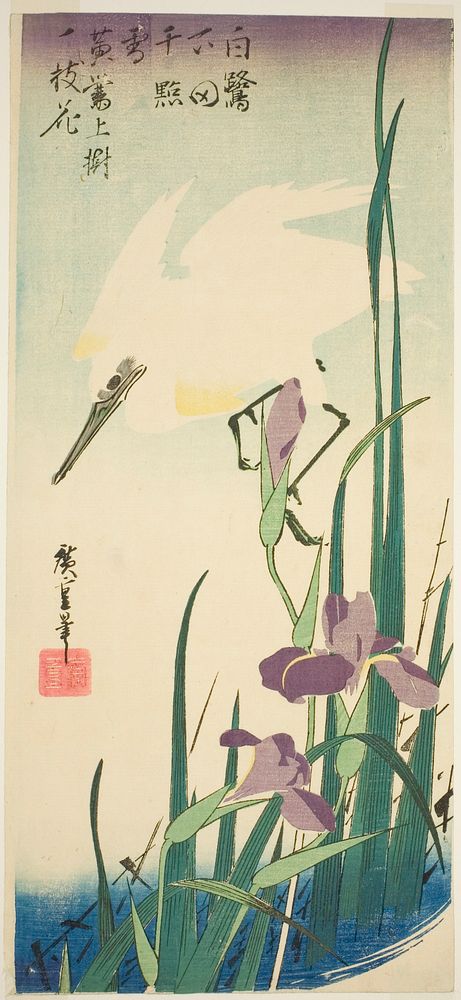 White heron and iris by Utagawa Hiroshige