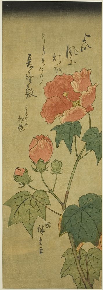 Hibiscus by Utagawa Hiroshige