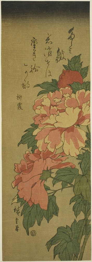 Peonies by Utagawa Hiroshige
