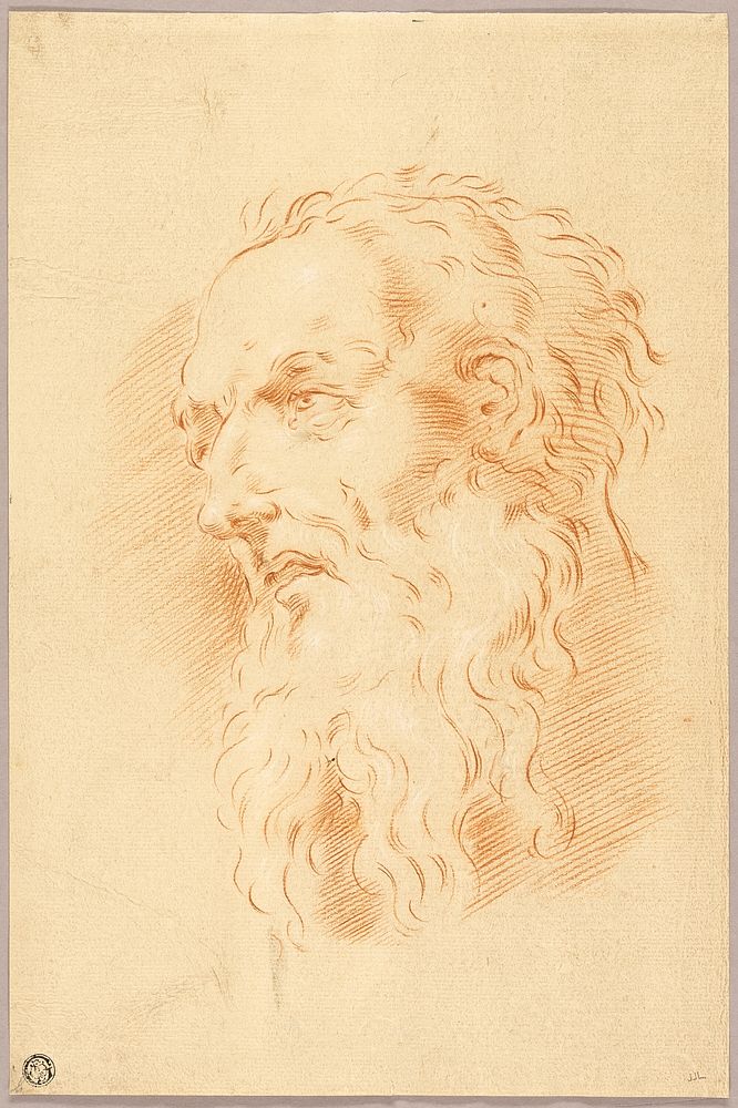 Head of Bearded Man by Style of Pietro Antonio Novelli