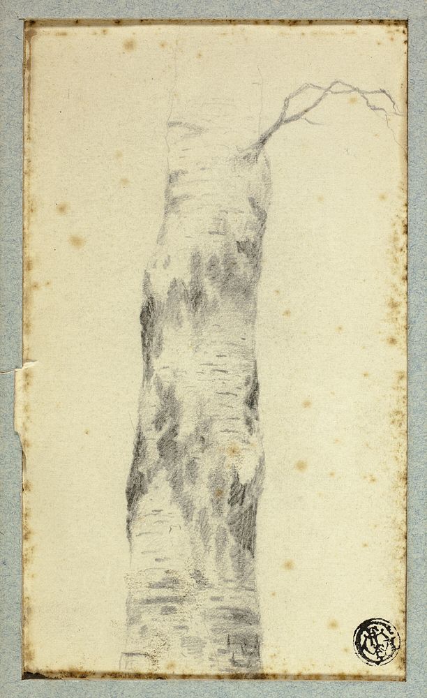 Sketch of Tree Trunk by Hendrik Pieter Koekkoek