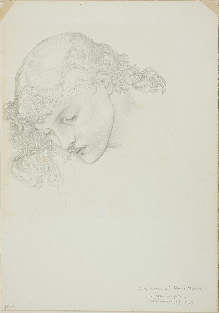 Head, Study for Mirror of Venus by Sir Edward Burne-Jones