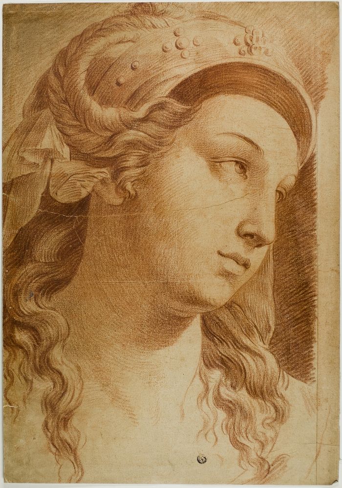 Head of Comity by Raphael