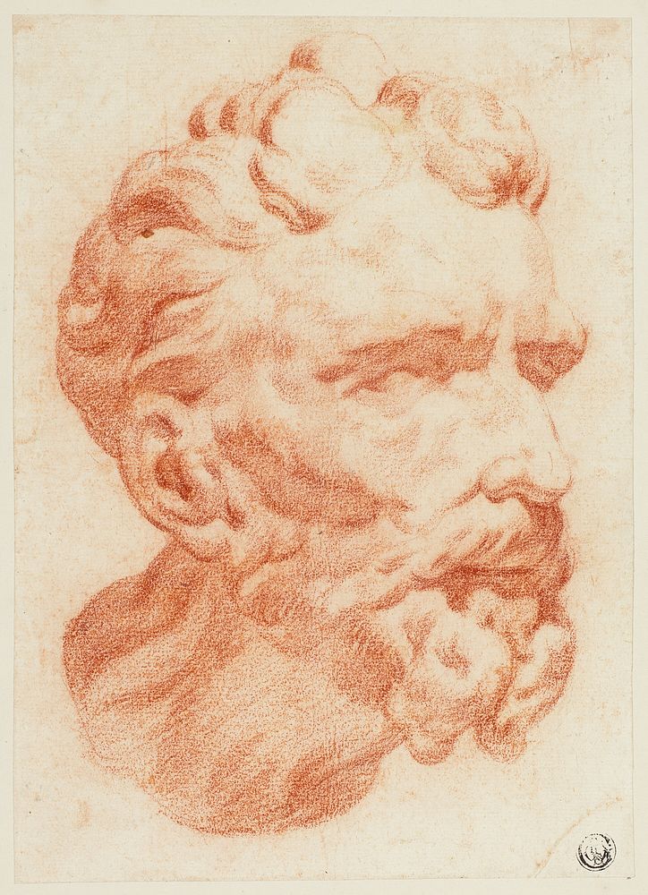 Head of Bearded Man in Three-Quarter Profile to Right by Pietro Dandini