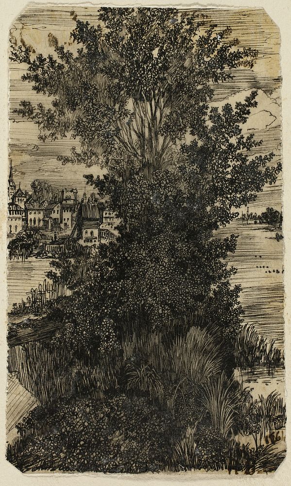 Clump of Trees with a Village in the Distance by Rodolphe Bresdin