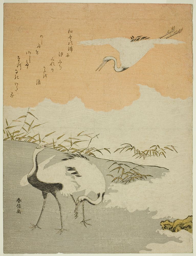 Cranes at the Sea Shore by Suzuki Harunobu