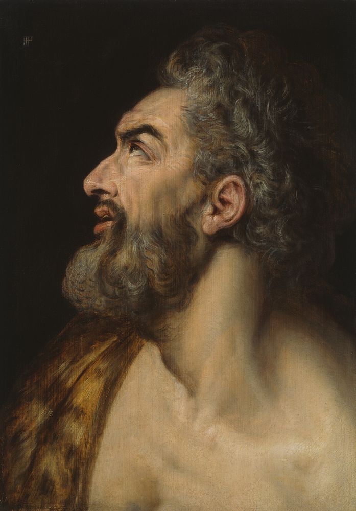 Study Head of a Bearded Man by Frans Floris, I
