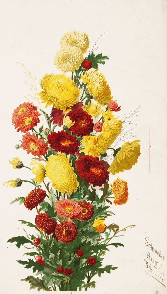Yellow and red chrysanthemums by Ellen Thayer Fisher