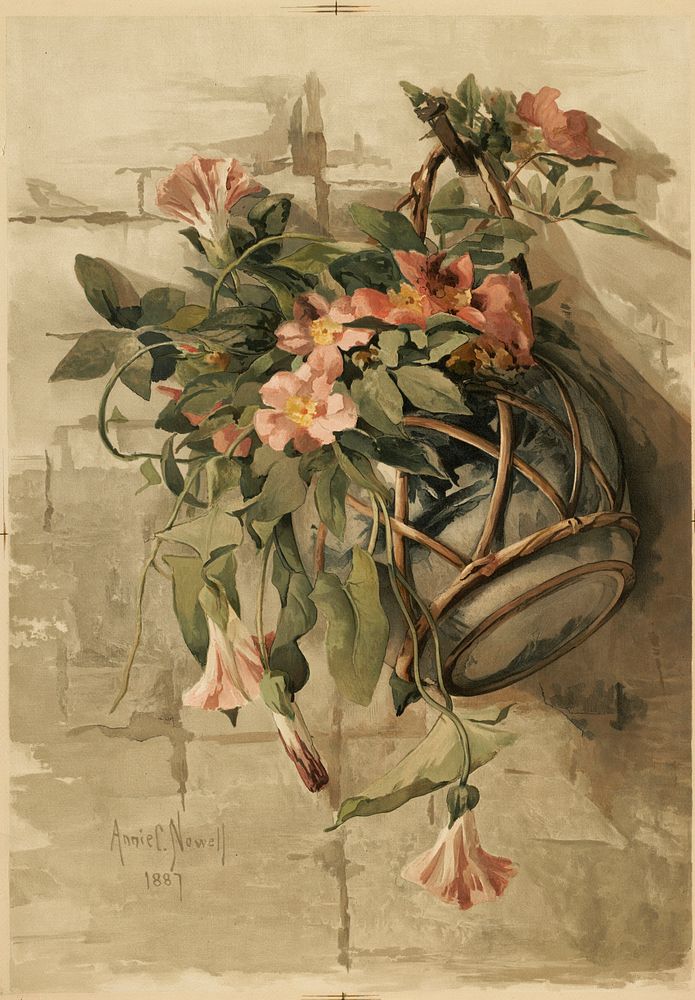 Pink Flowers in Hanging Vase