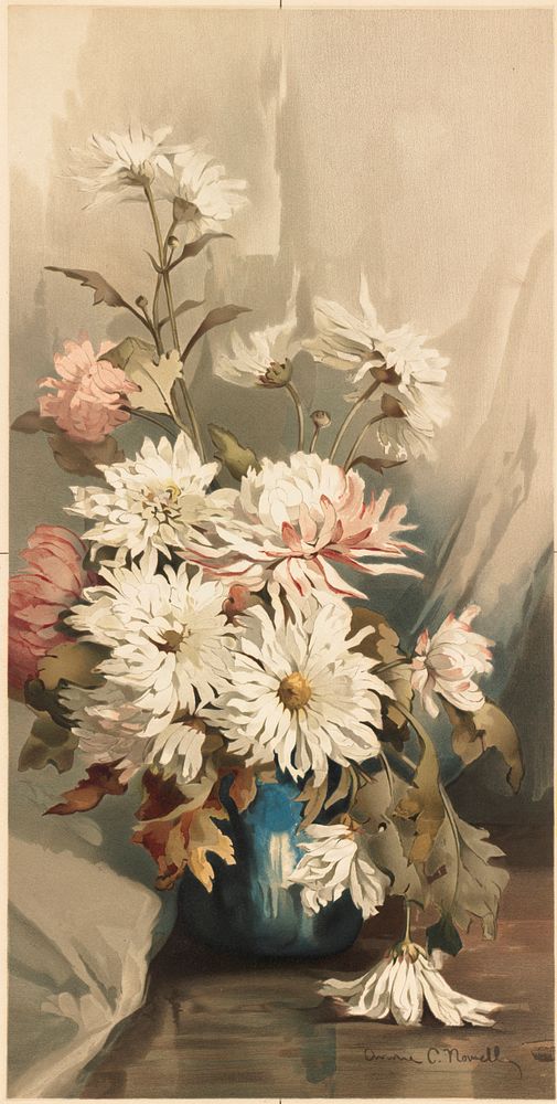 Chrysanthemums no. 5