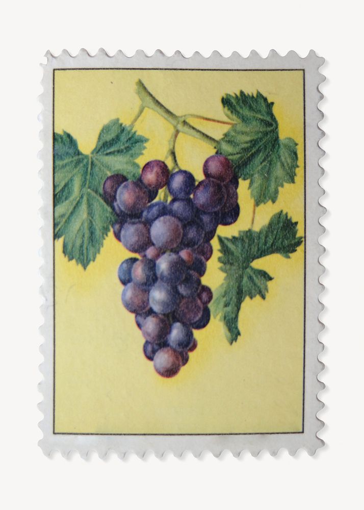 Grape postage stamp isolated design