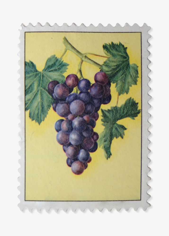 Grape postage stamp collage element psd