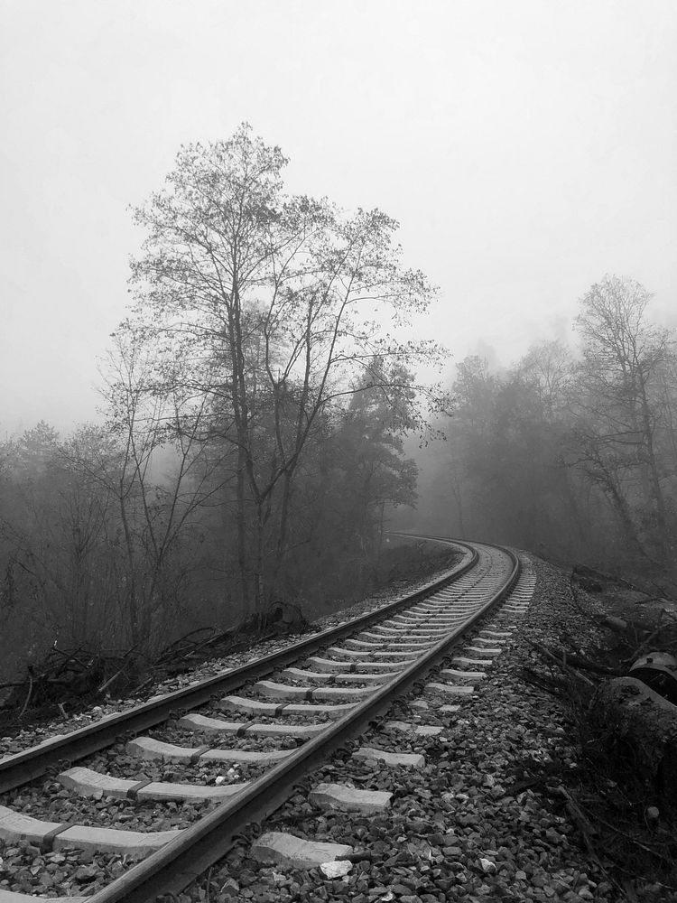 Railway lost in woods and morning fog