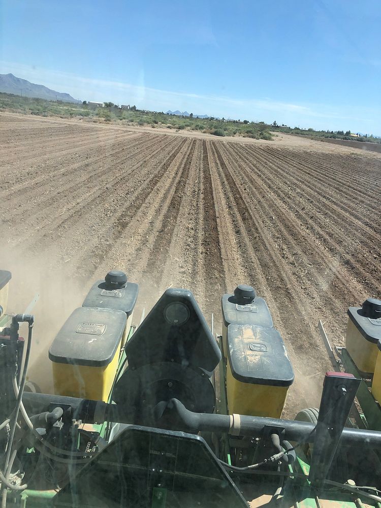 Know your onion: Onion planting and growingonions, Don Hartman Farms, Deming, NM
