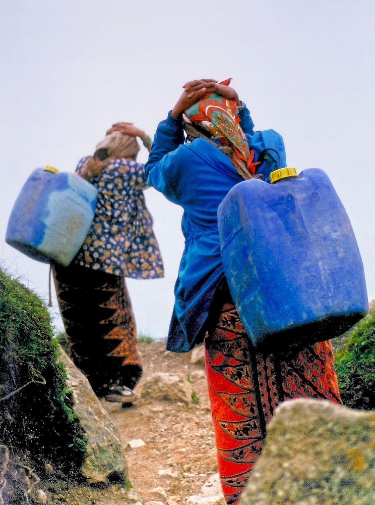 Traditional fuel carrying, Everest Region, Nepal.